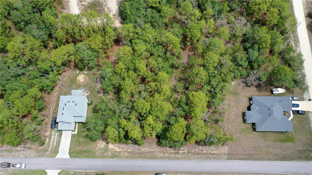 10401 Spalding Street - Photo 1