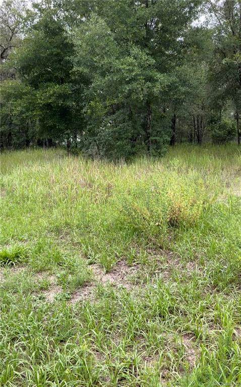 105 Fitzpatrick Avenue - Photo 1