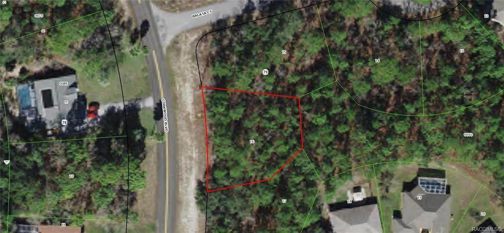 98 Corkwood Boulevard - Photo 1