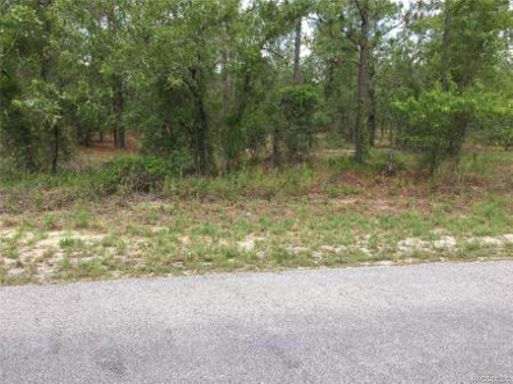 Lot 14 Deerpark Heights Road - Photo 1