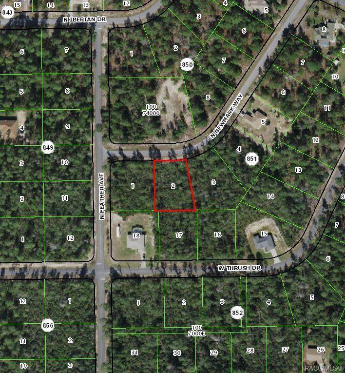 8517 Newmark Way - Photo 1