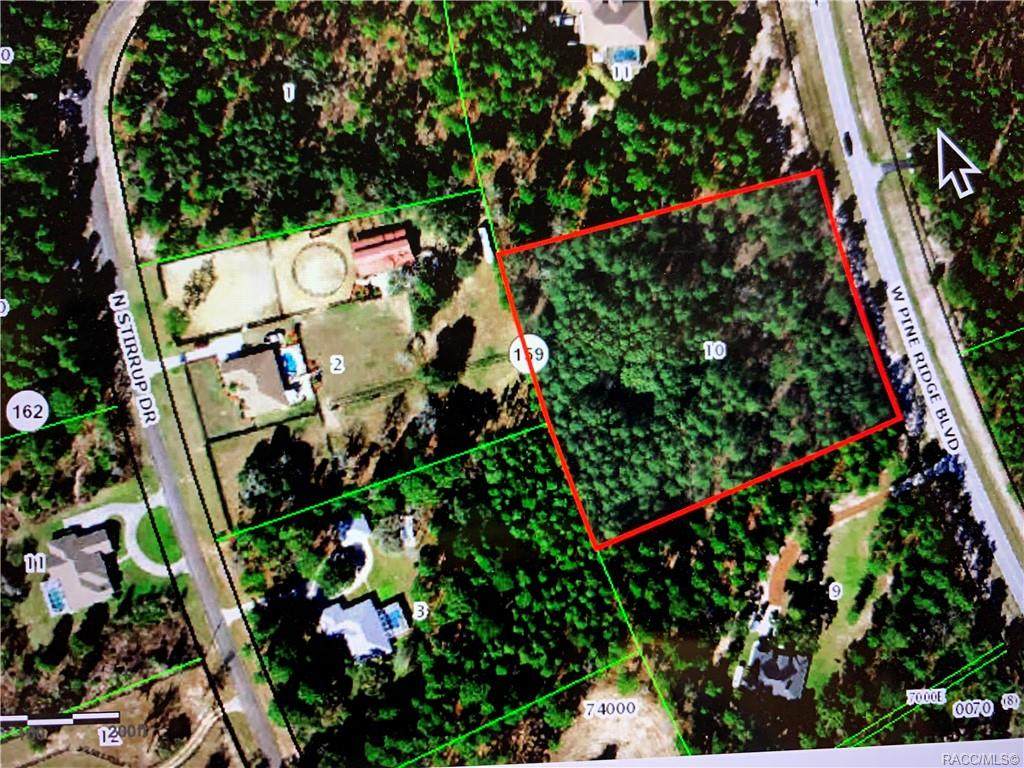 6229 Pine Ridge Boulevard - Photo 1