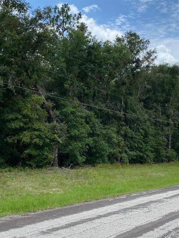 10238 Athenia Drive - Photo 1
