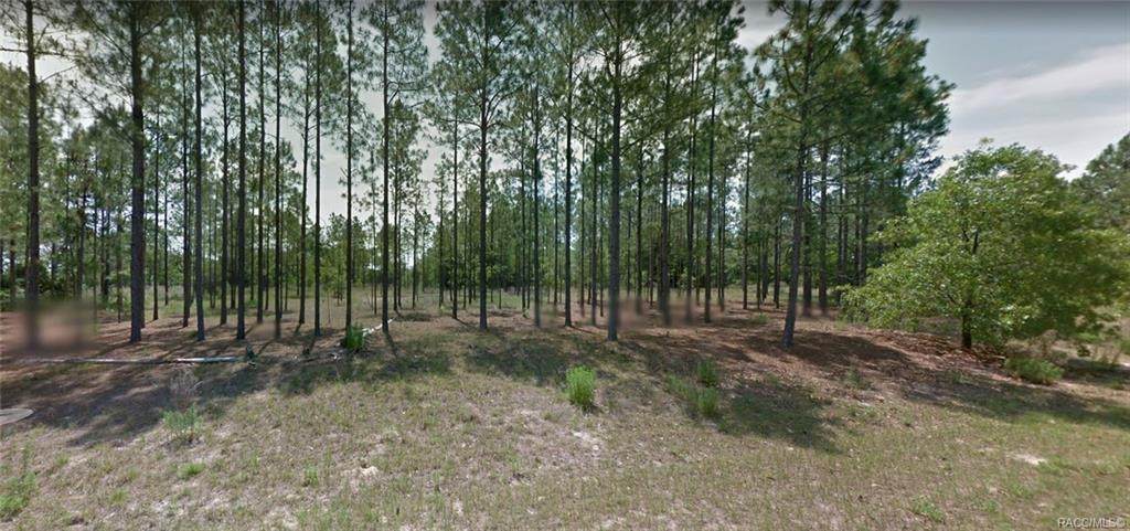 10953 Letterwood Way - Photo 1