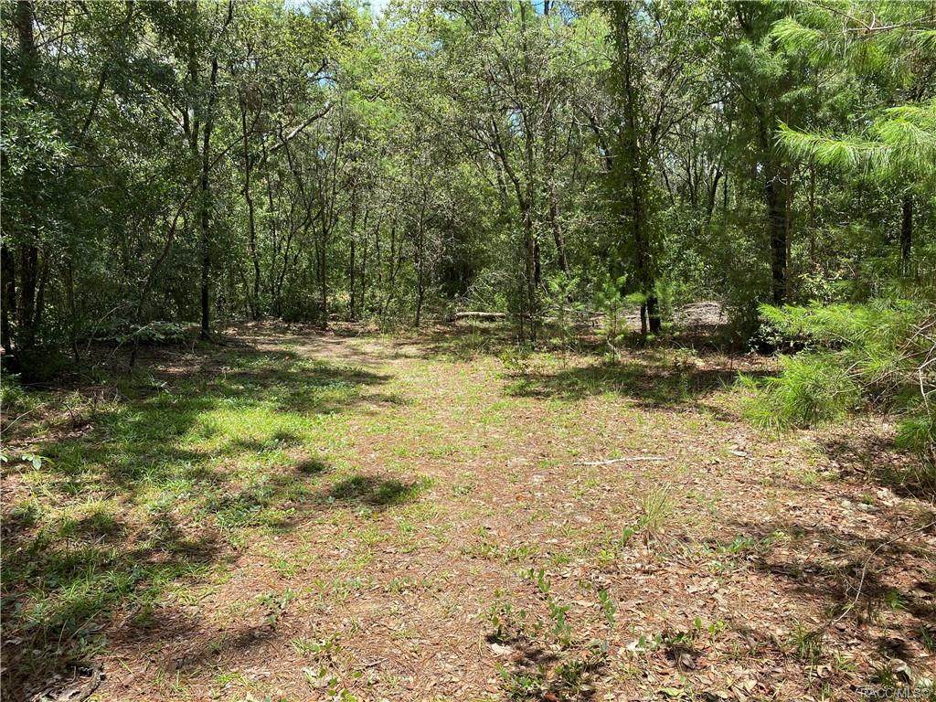 12262 Oakview Avenue - Photo 1