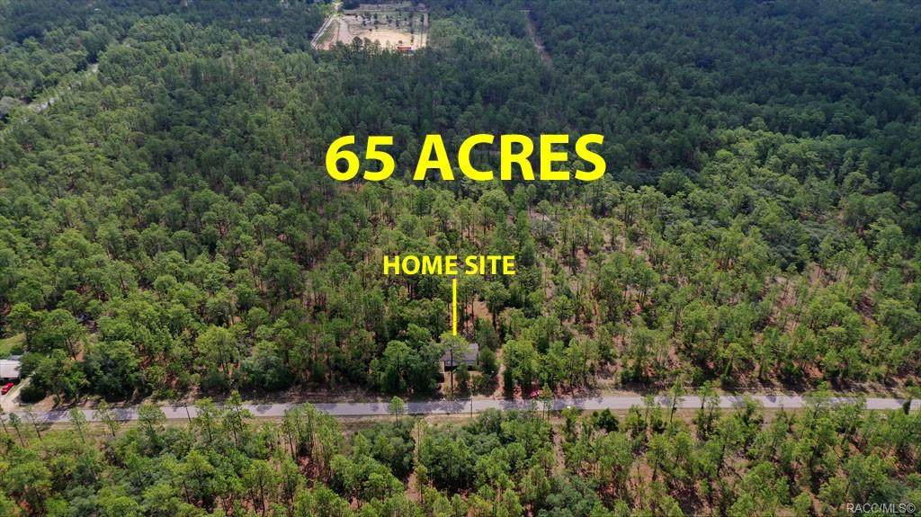 241 Buena Vista Road - Photo 1