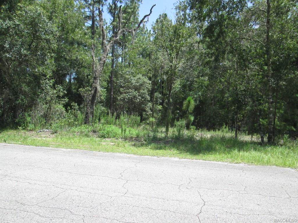 5280 Clayre Lane - Photo 1