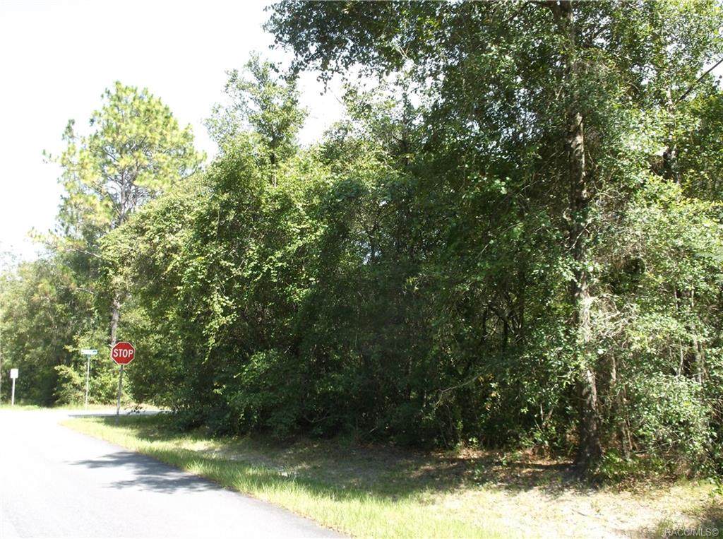 364 Dugan Avenue - Photo 1