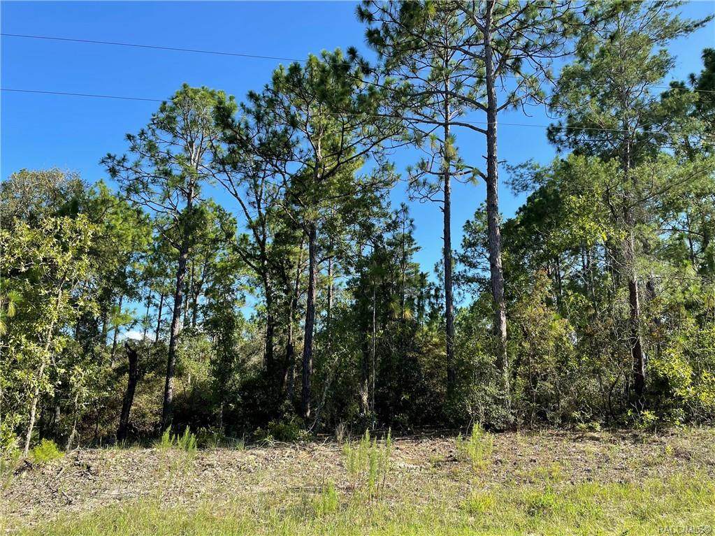 3872 Firewood Loop - Photo 1