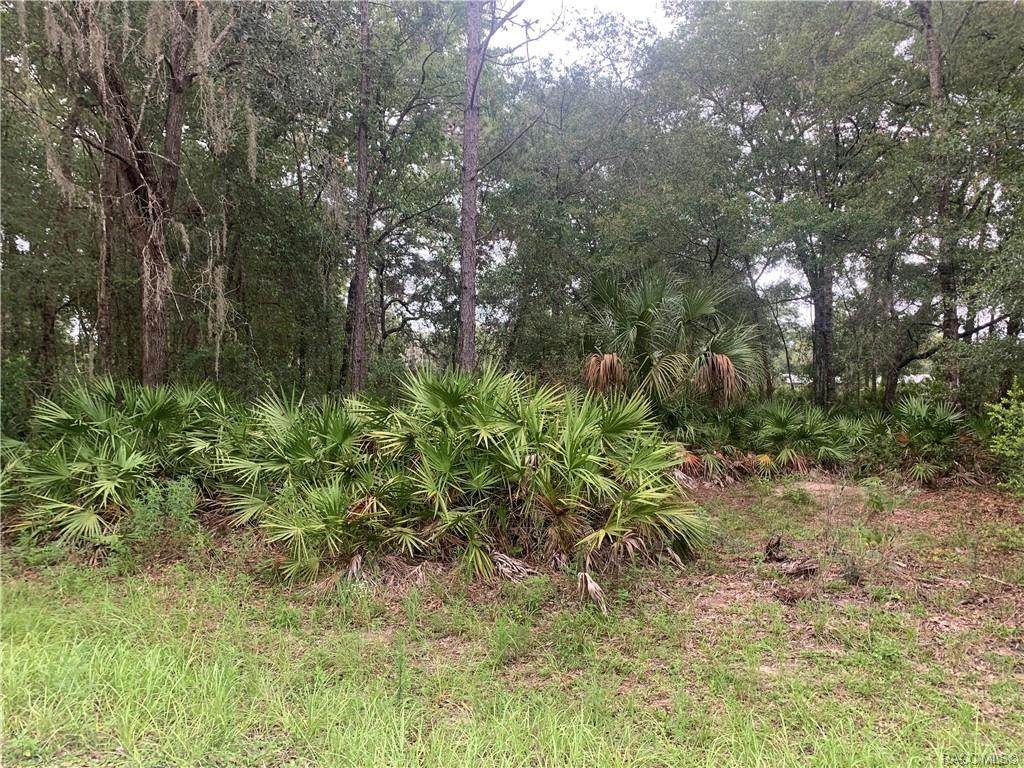 8291 Hatfield Terrace - Photo 1