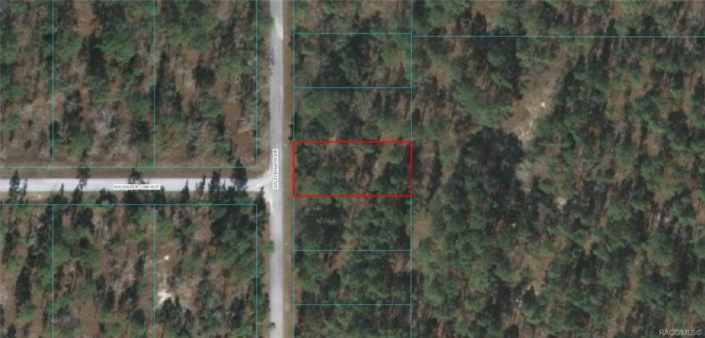 Lot 12 Terrapin Drive - Photo 1