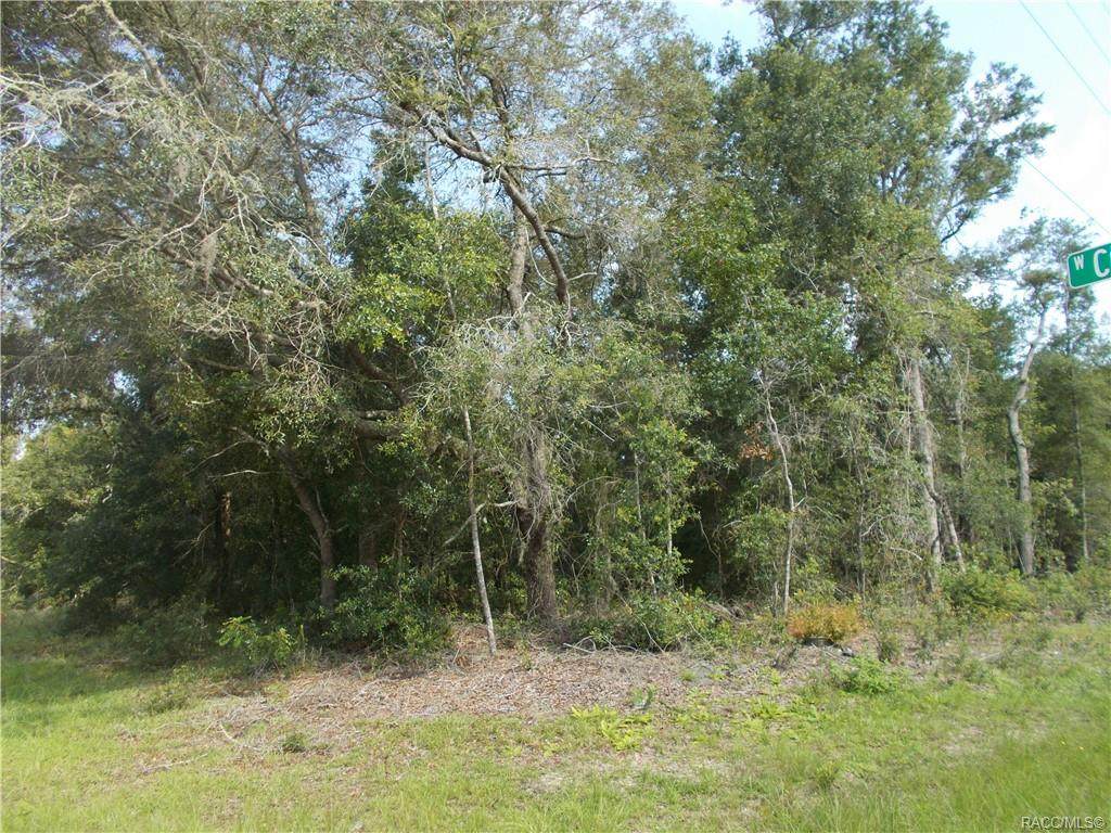 10752 Academy Drive - Photo 1