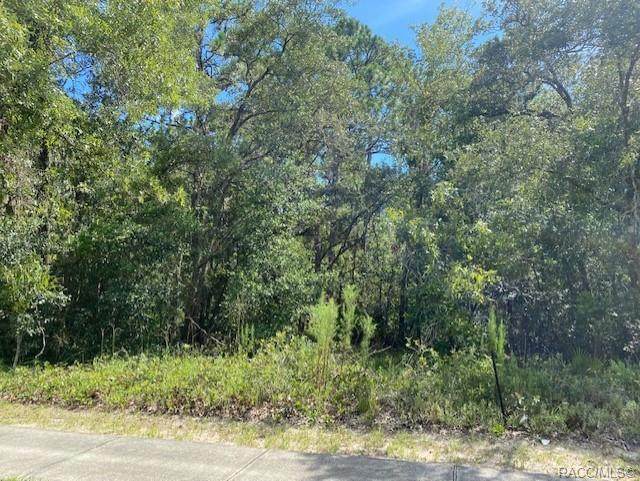 5656 Lena Drive - Photo 1