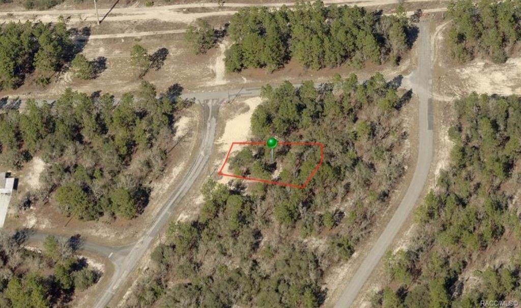 9909 Vaughn Drive - Photo 1