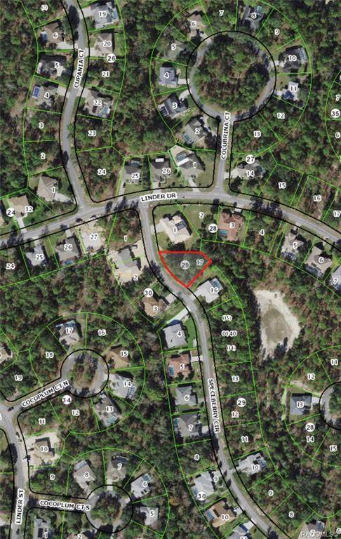 5 Speceberry Circle - Photo 1
