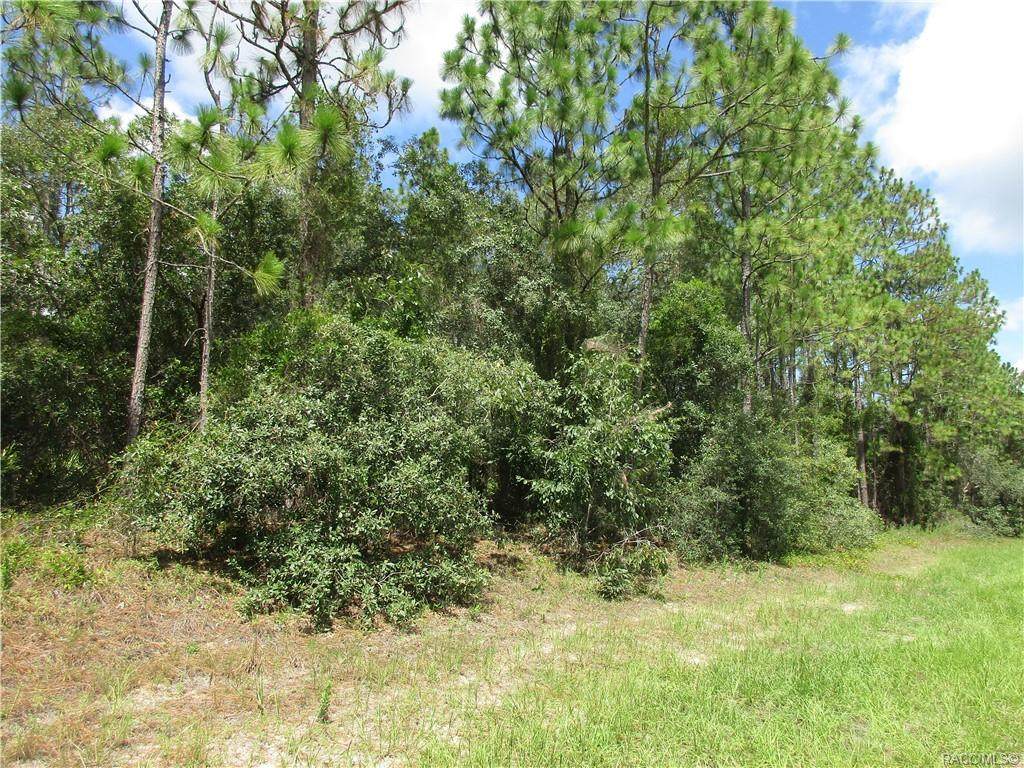 6054 Ponderosa Place - Photo 1