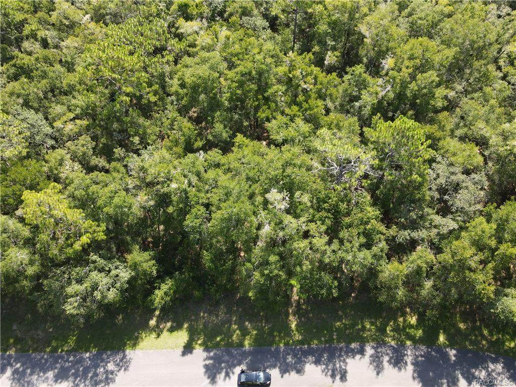 9121 Aruba Drive - Photo 1
