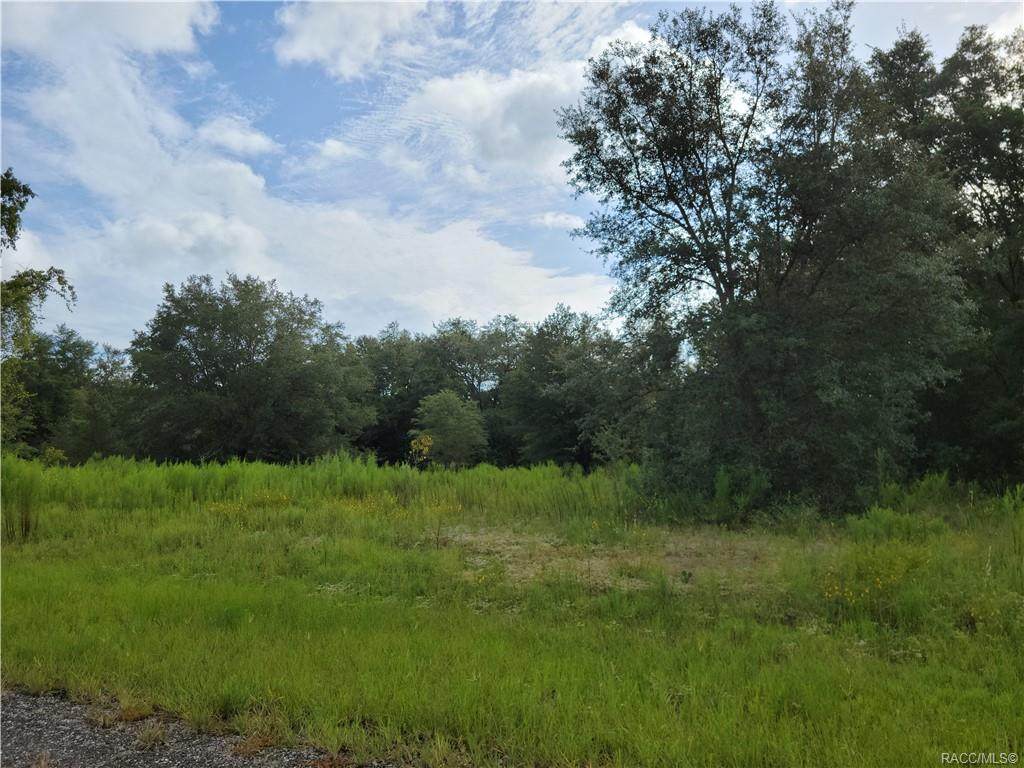 7847 Bailey Terrace - Photo 1