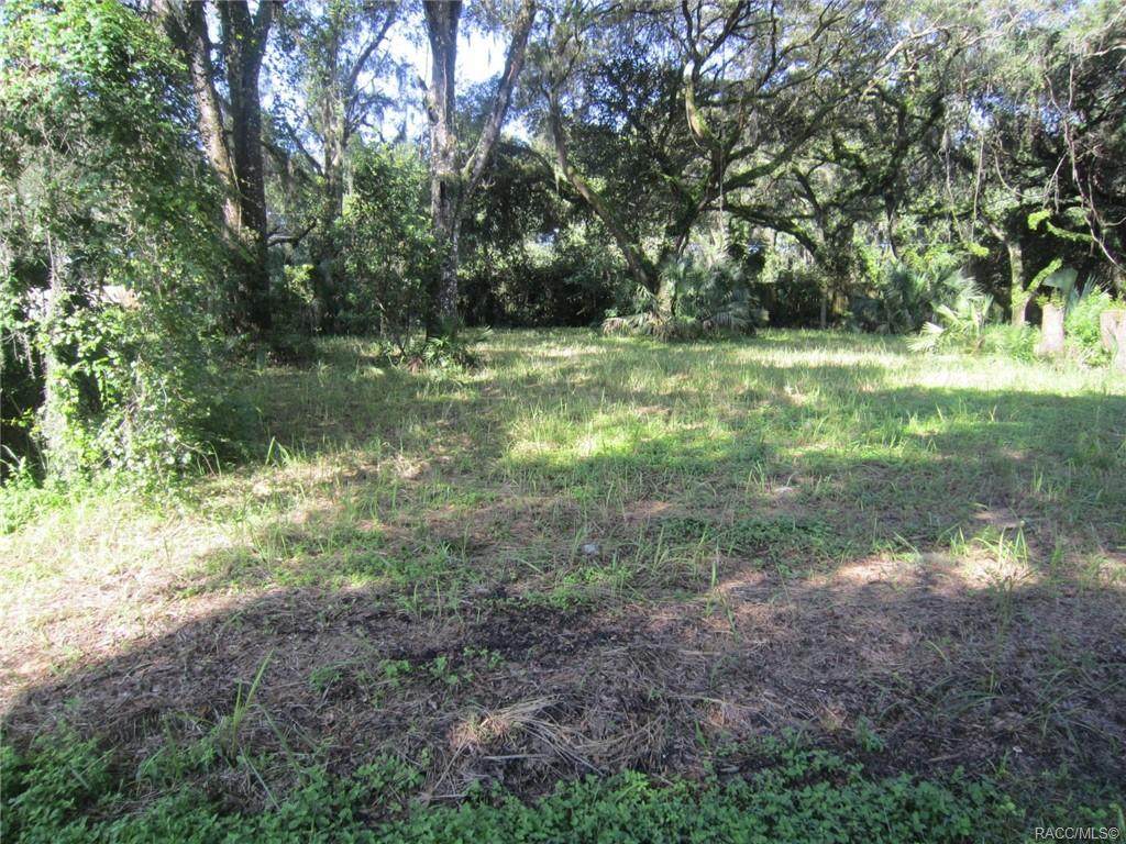8255 Fairway Loop - Photo 1