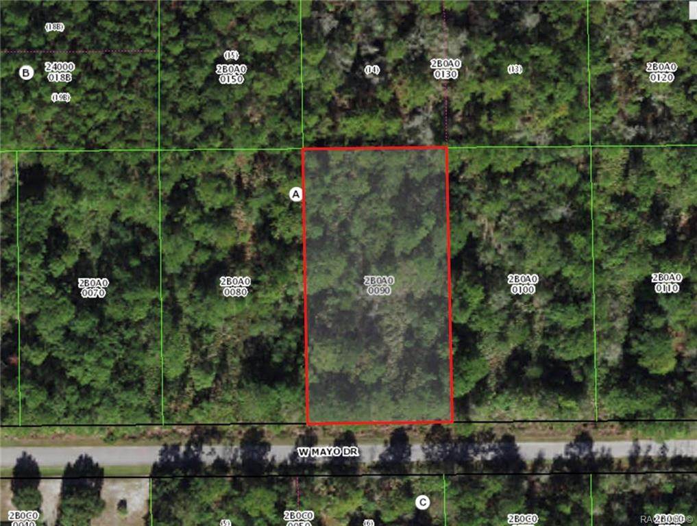 8205 Mayo Drive - Photo 1