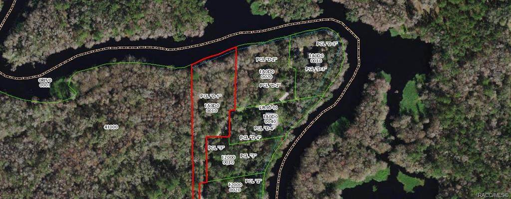 10778 Wise Owl Point - Photo 1