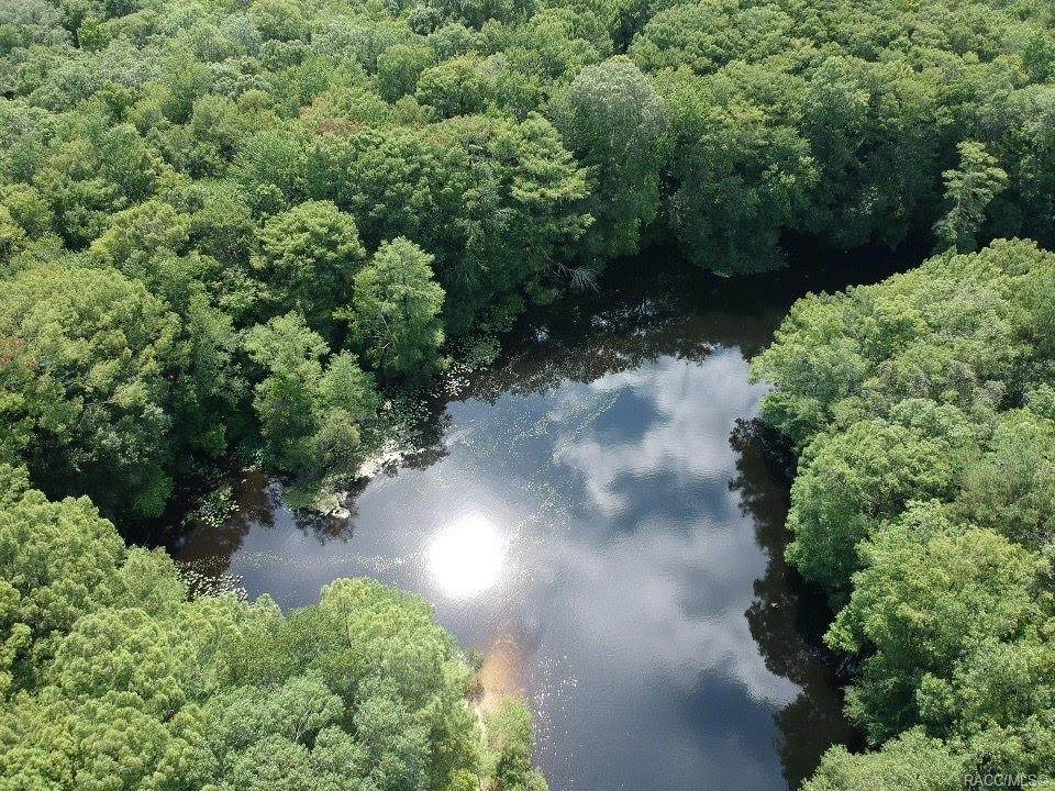 0 Wise Owl Point - Photo 1