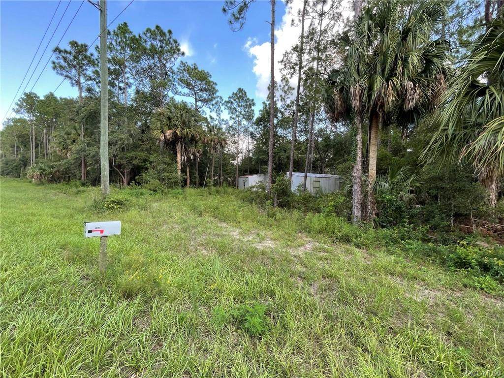 10136 Dunnellon Road - Photo 1