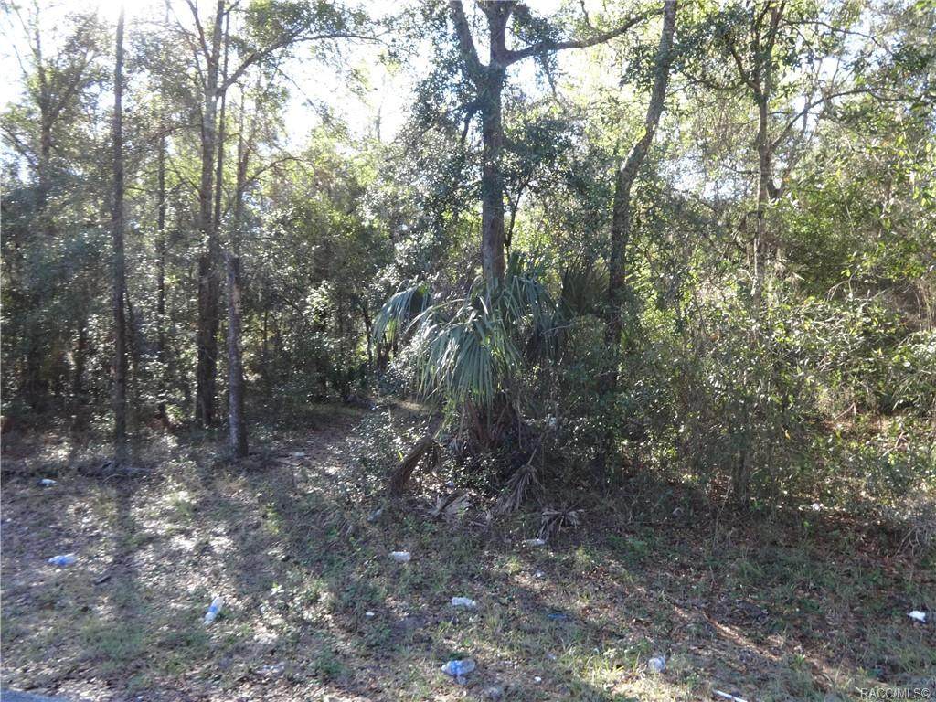 9618 Cleveland Lane - Photo 1