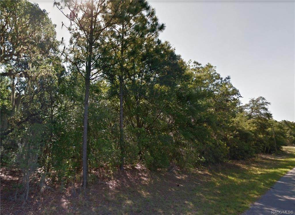 8845 Travis Drive - Photo 1