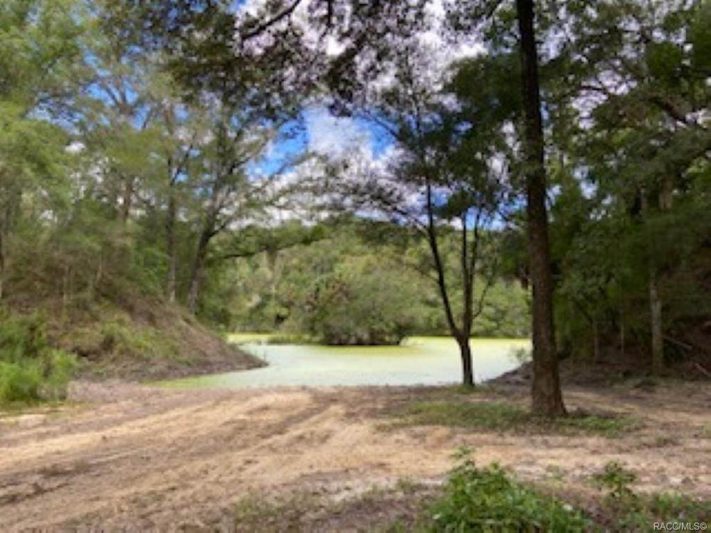 593 Eridani Court - Photo 1