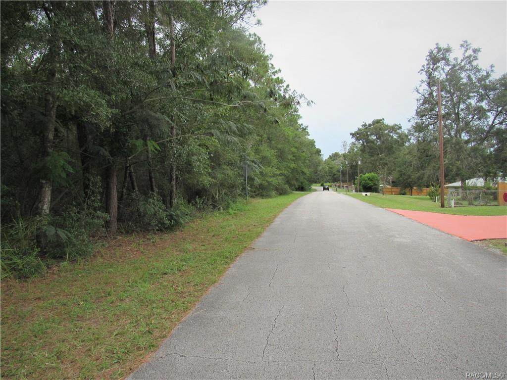 12790 River Garden Drive - Photo 1