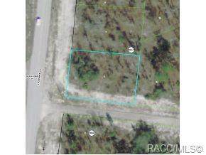 6555 Elkcam Boulevard - Photo 1