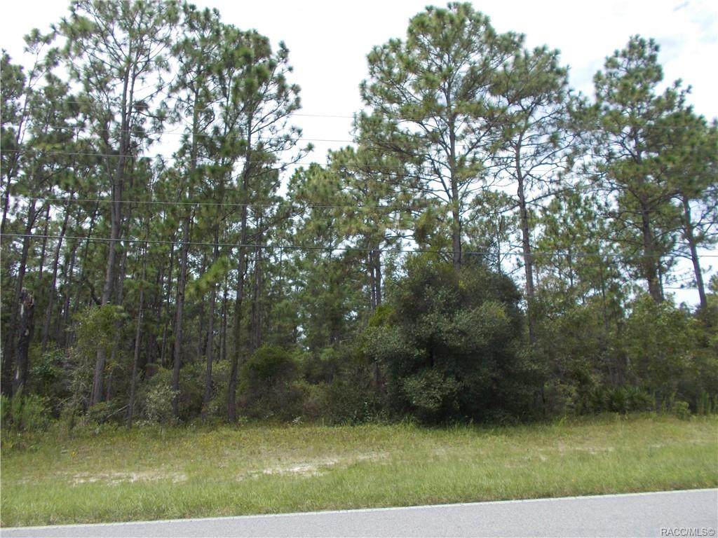 4228 Citrus Springs Boulevard - Photo 1