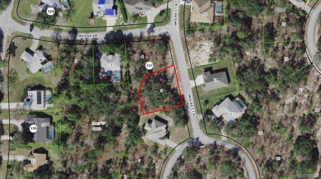 3 Smilax Court - Photo 1