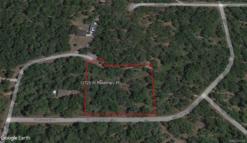 12725 Rosemary Place - Photo 1