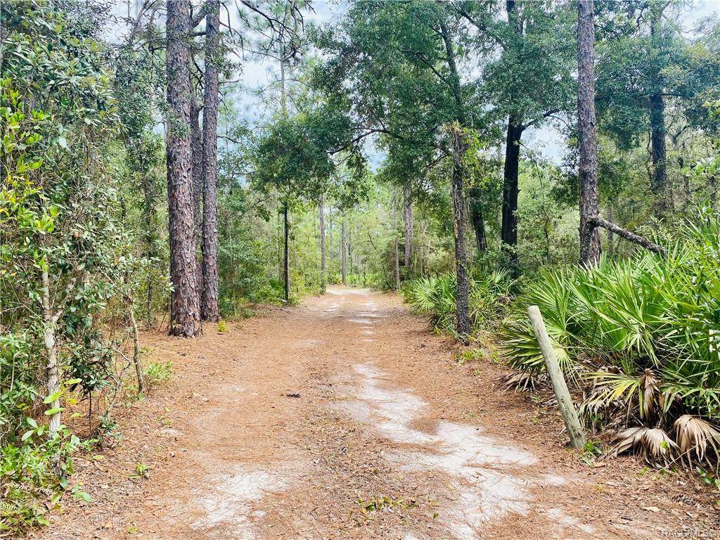 4885 Mattox Point - Photo 1