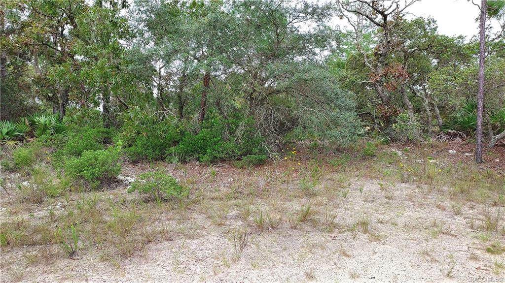 6316 Hobson Terrace - Photo 1