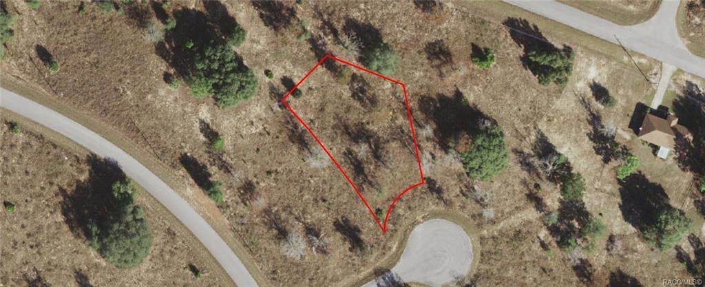 Lot #6 Malauka Radial Court - Photo 1