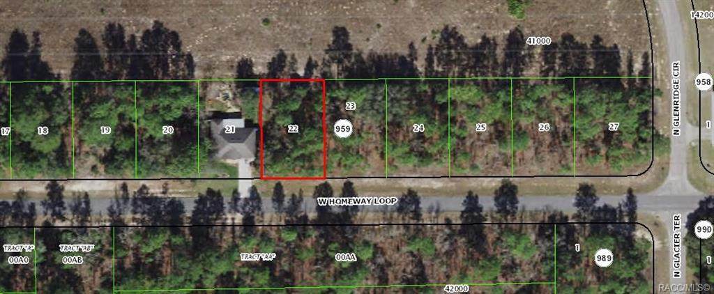 361 Homeway Loop - Photo 1