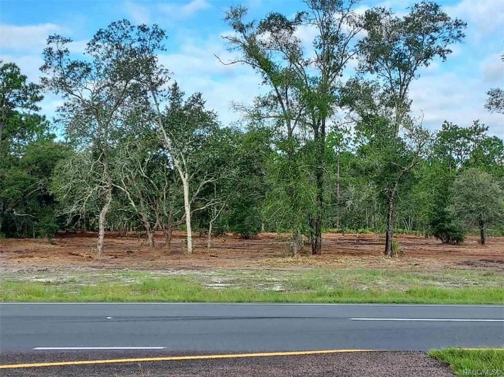 10370 Suncoast Boulevard - Photo 1