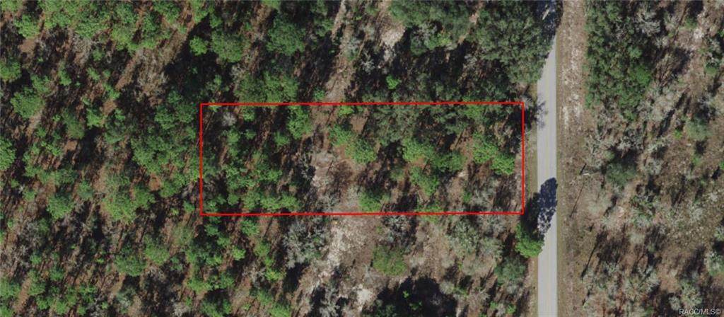 026 Half Moon Drive - Photo 1