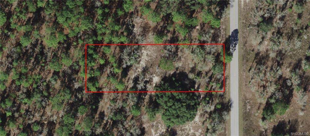 027 Half Moon Drive - Photo 1
