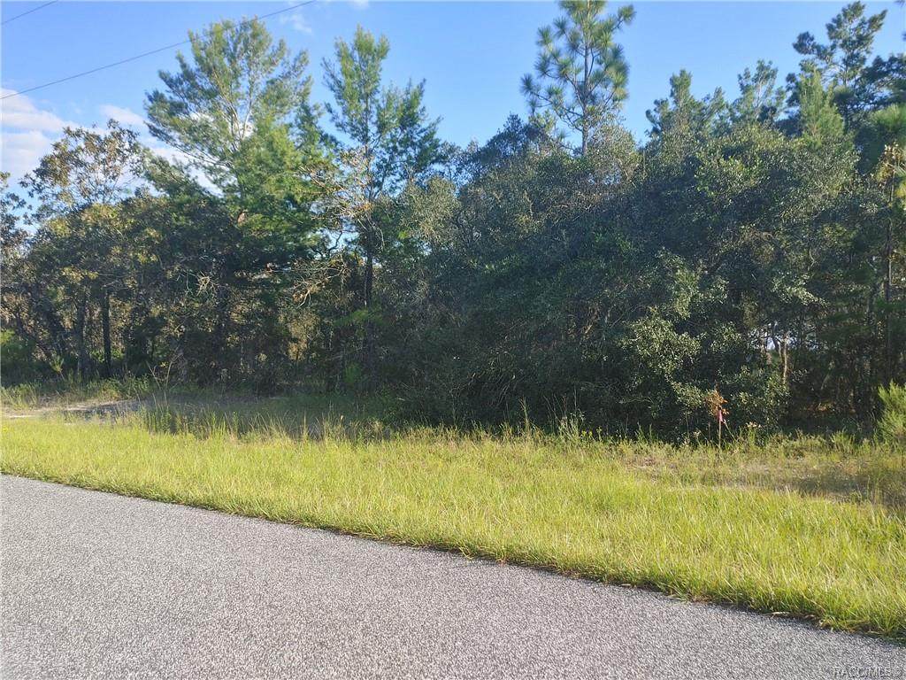 3622 Eunice Drive - Photo 1