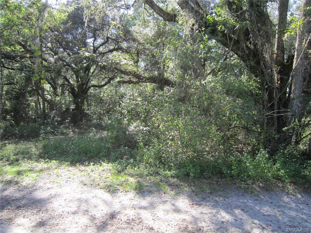 13160 Thexa Terrace - Photo 1