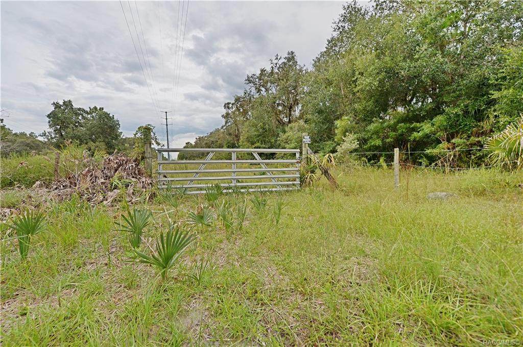 14420 River Road - Photo 1