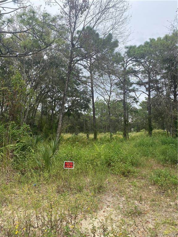 4909 Grand Circle Terrace - Photo 1