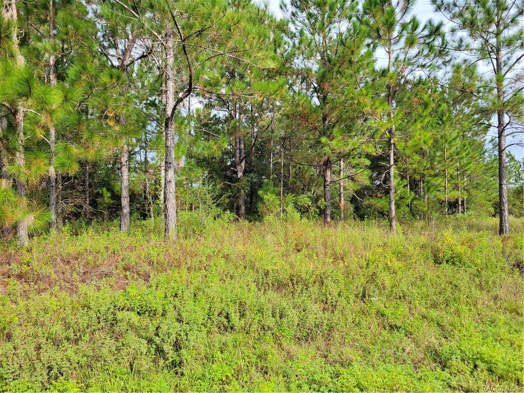 377 Parker Loop - Photo 1