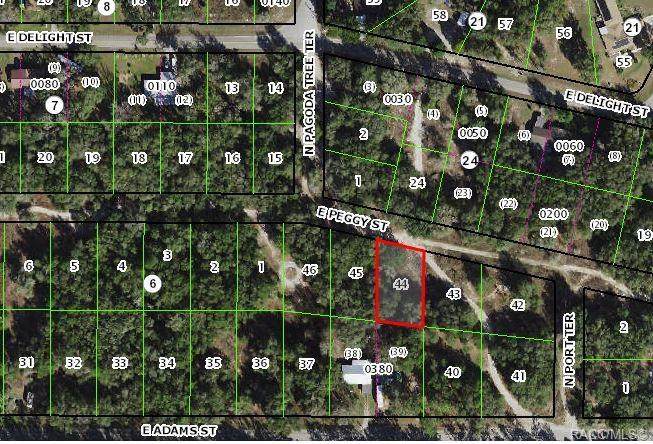 3842 Peggy Street - Photo 1