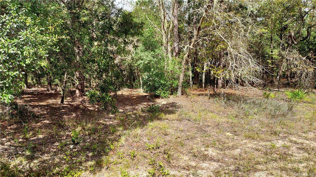 6436 Elnora Way - Photo 1