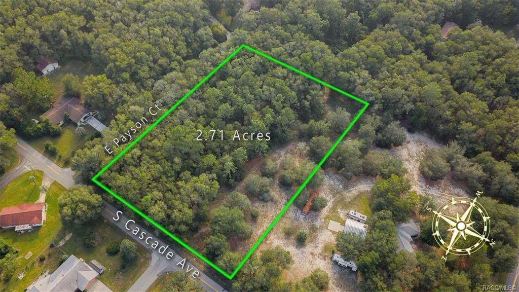 4550 Cascade Avenue - Photo 1